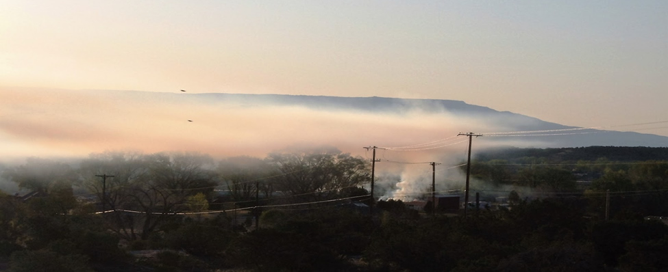 plant based burning grand junction co