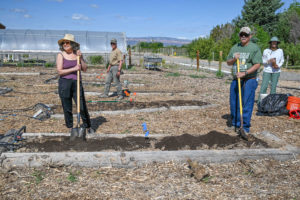 Volunteers prepare the soil beds at CSU Orchard Mesa Research Station.